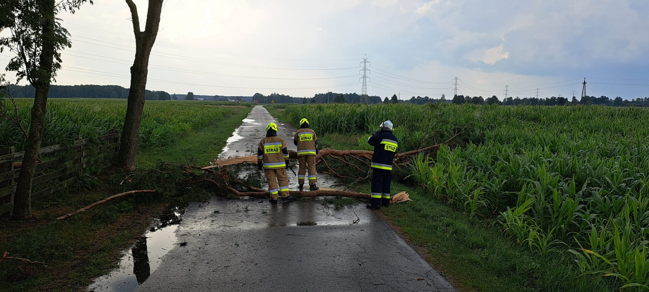 Dach obory przygniótł dwa auta. Akcja strażaków w Surowem [06.08.2023] - zdjęcie #4 - eOstroleka.pl