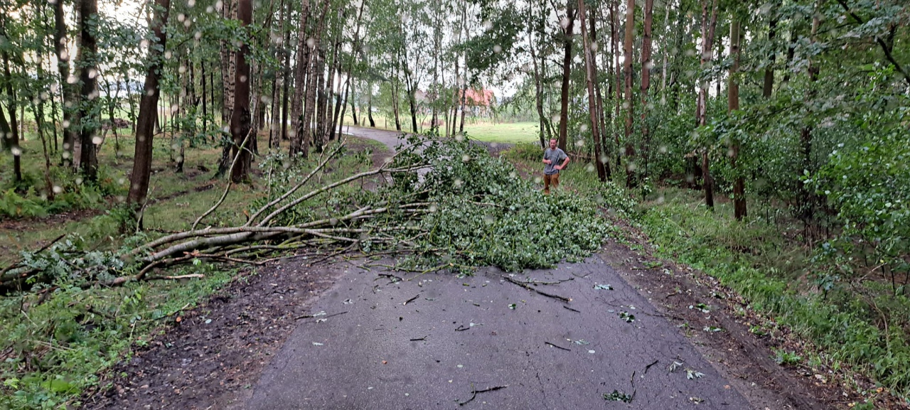 Dach obory przygniótł dwa auta. Akcja strażaków w Surowem [06.08.2023] - zdjęcie #3 - eOstroleka.pl