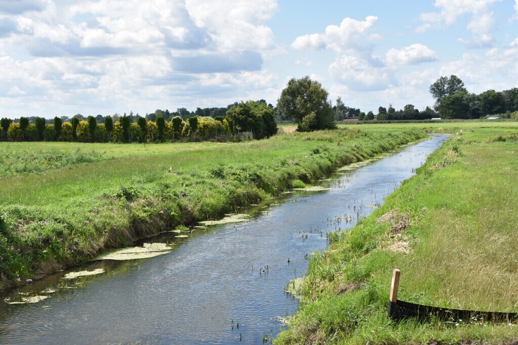 Raport z placu budowy. Nowy most przez Orz i “powiatówka” Brzeźno - Pokrzywnica [08.08.2023] - zdjęcie #3 - eOstroleka.pl
