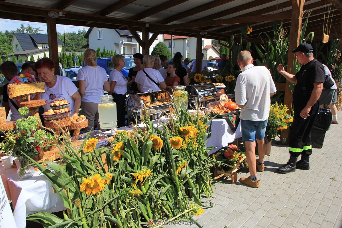 XXI Jarmarki Czerwińskie [13.08.2023] - zdjęcie #58 - eOstroleka.pl