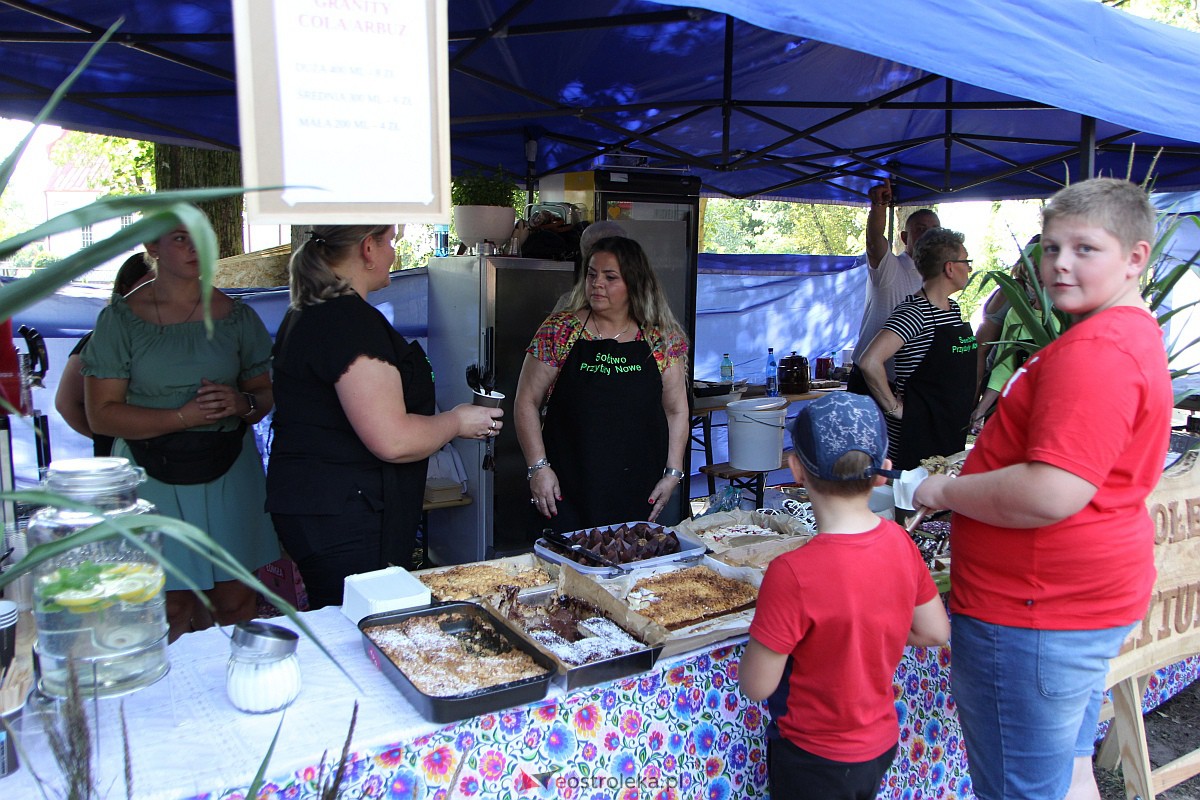 Świnia kontra dzik w Przytułach Starych [13.08.2023] - zdjęcie #84 - eOstroleka.pl