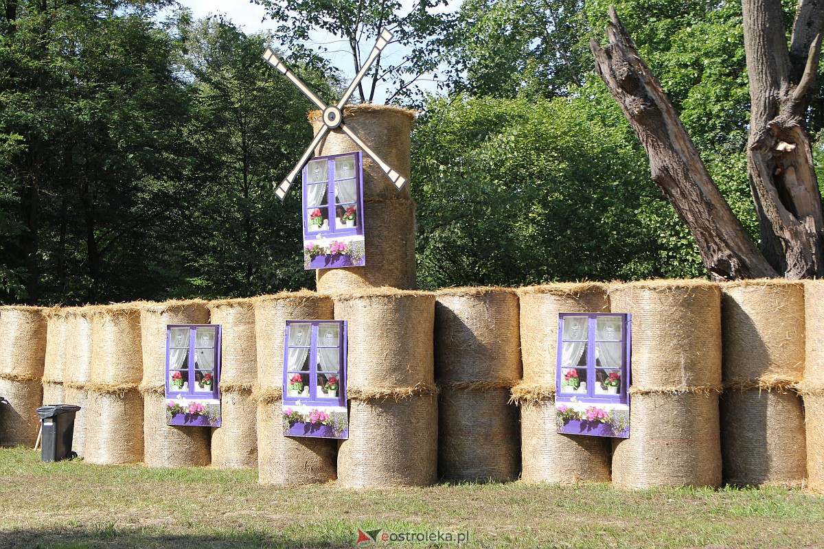 Świnia kontra dzik w Przytułach Starych [13.08.2023] - zdjęcie #56 - eOstroleka.pl