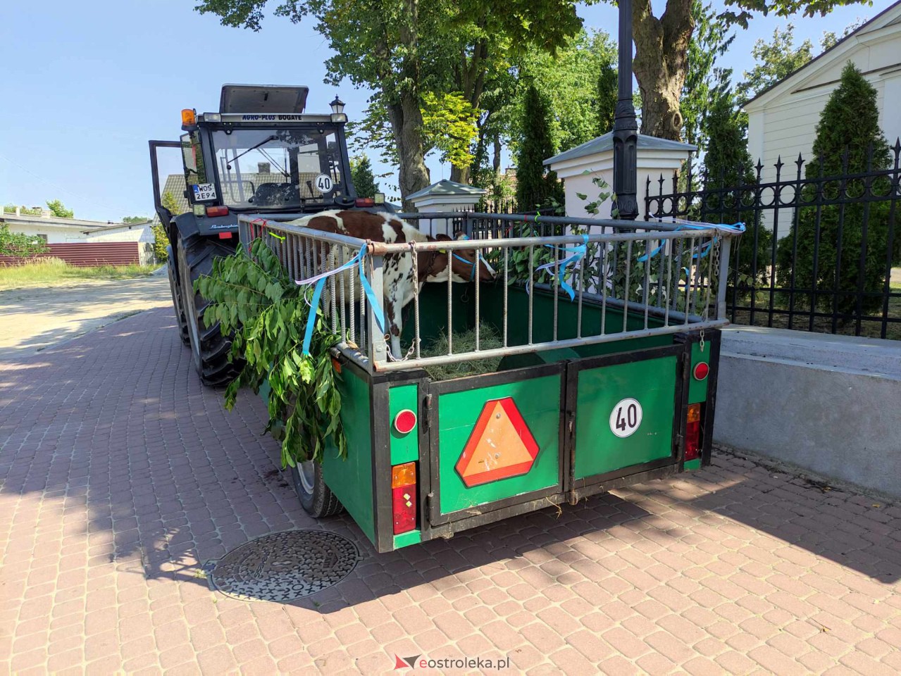 Święcenie zwierząt na Odpuście św. Rocha w Kadzidle [16.08.2023] - zdjęcie #69 - eOstroleka.pl