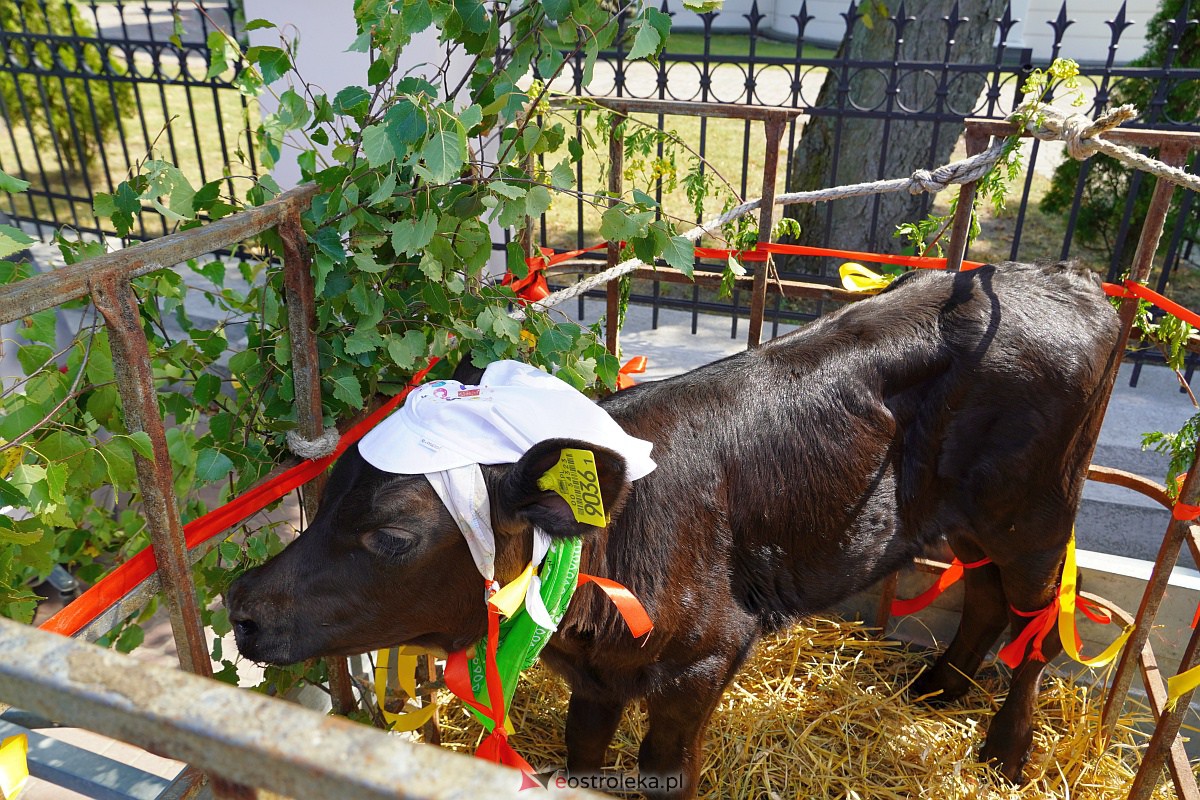 Święcenie zwierząt na Odpuście św. Rocha w Kadzidle [16.08.2023] - zdjęcie #8 - eOstroleka.pl