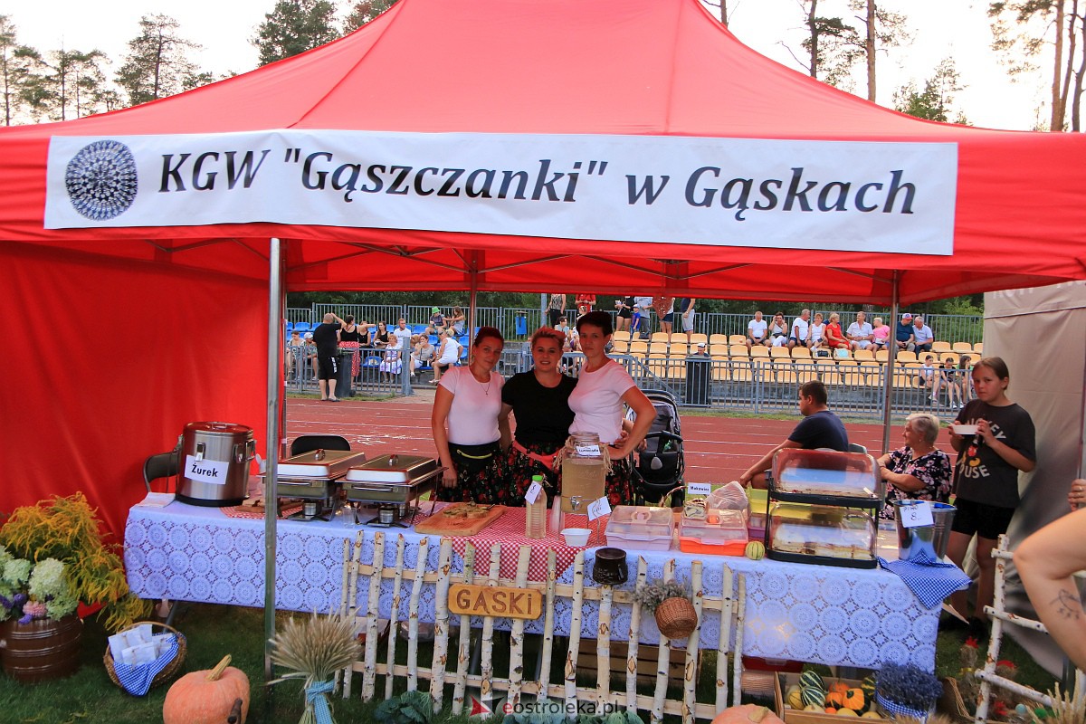 Dożynki w Lelisie 2023 [20.08.2023] - zdjęcie #131 - eOstroleka.pl