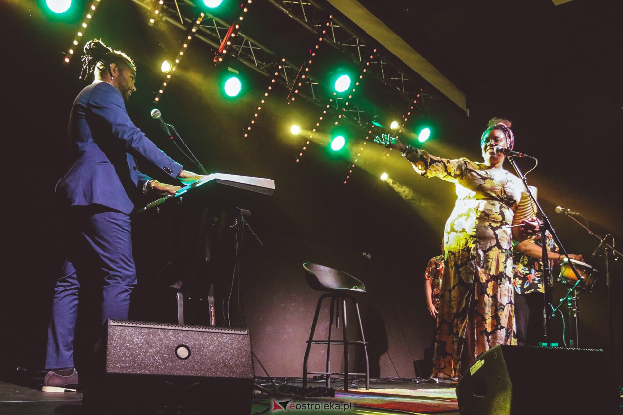 LUIS NUBIOLA & LOS CUBANIOTOS w Multimedialnym Centrum Natura [24.08.2023] - zdjęcie #23 - eOstroleka.pl