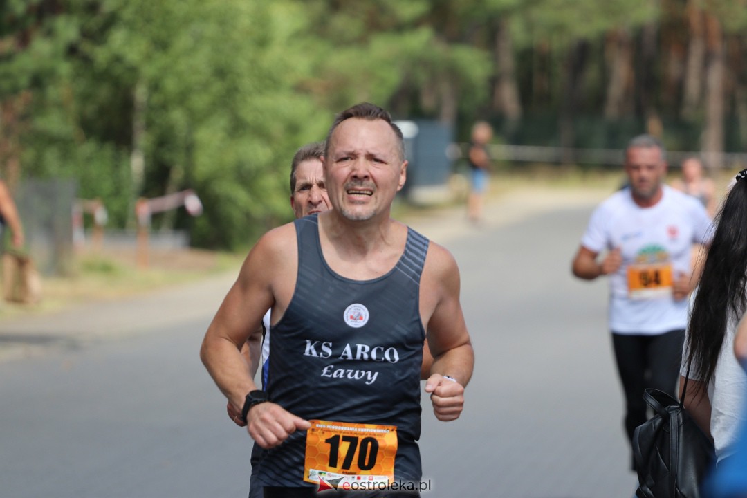 Bieg Miodobrania Kurpiowskiego 2023 [26.08.2023] - zdjęcie #75 - eOstroleka.pl