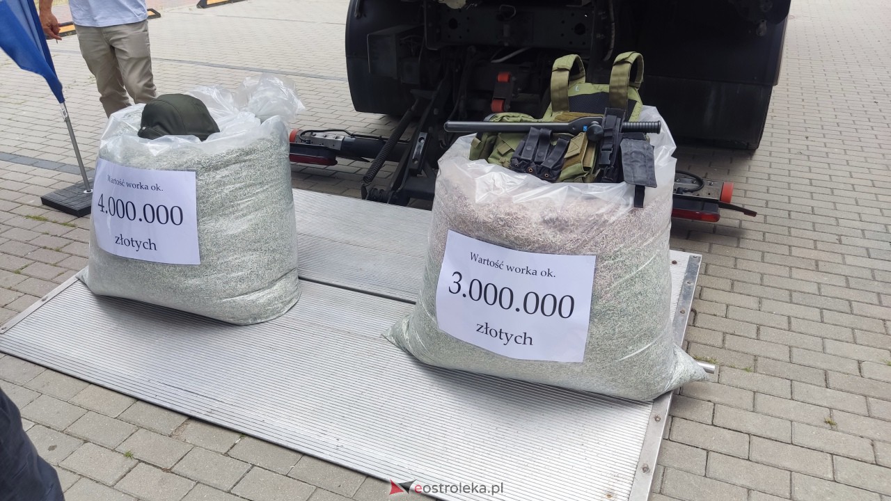 Piknik z elementami edukacji historycznej w Muzeum Żołnierzy Wyklętych [26.08.2023] - zdjęcie #2 - eOstroleka.pl