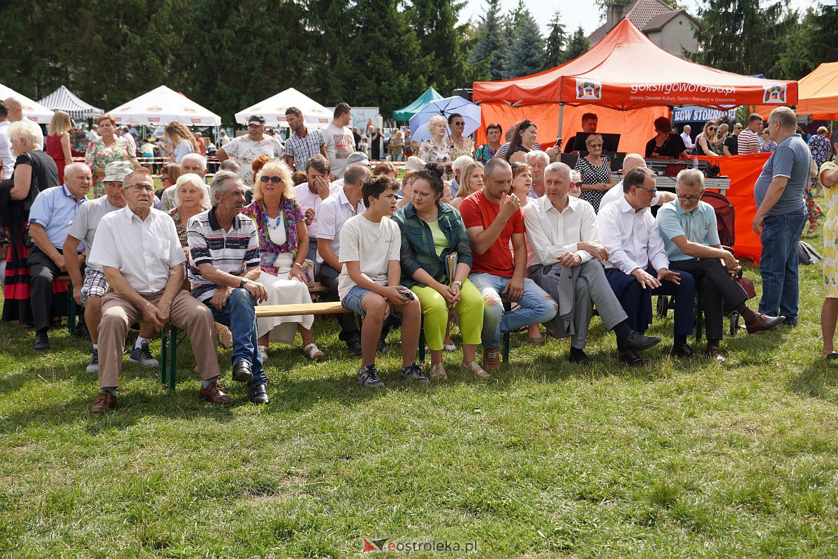 Dożynki w Goworowie [27.08.2023] - zdjęcie #84 - eOstroleka.pl