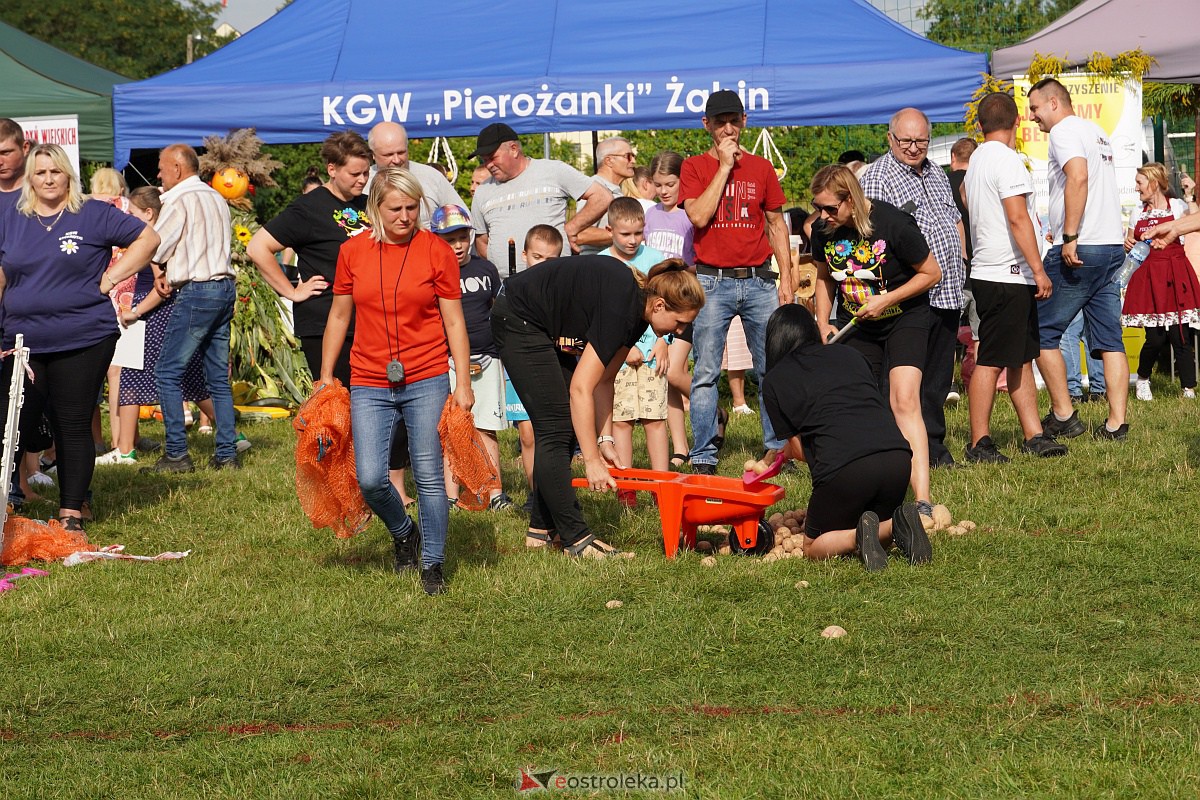 Dożynki w Goworowie [27.08.2023] - zdjęcie #43 - eOstroleka.pl
