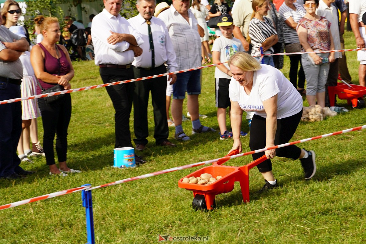 Dożynki w Goworowie [27.08.2023] - zdjęcie #41 - eOstroleka.pl