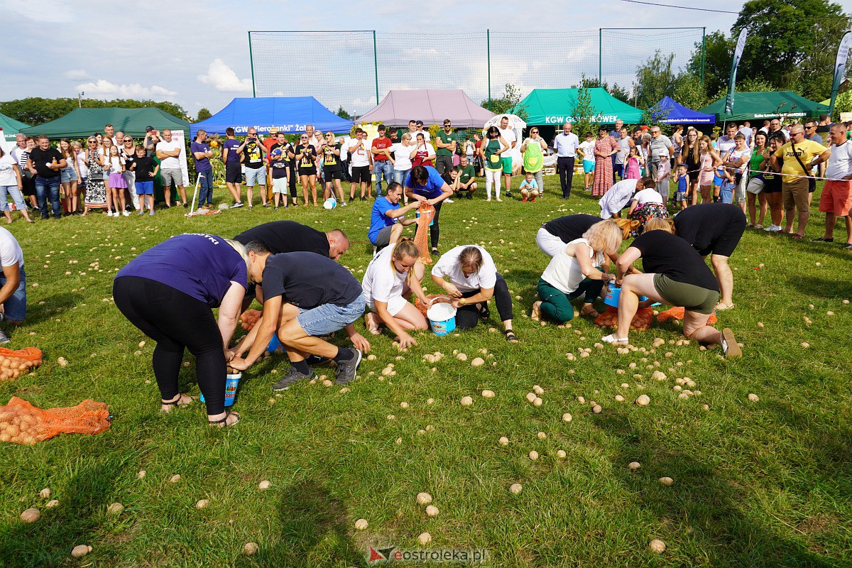 Dożynki w Goworowie [27.08.2023] - zdjęcie #33 - eOstroleka.pl