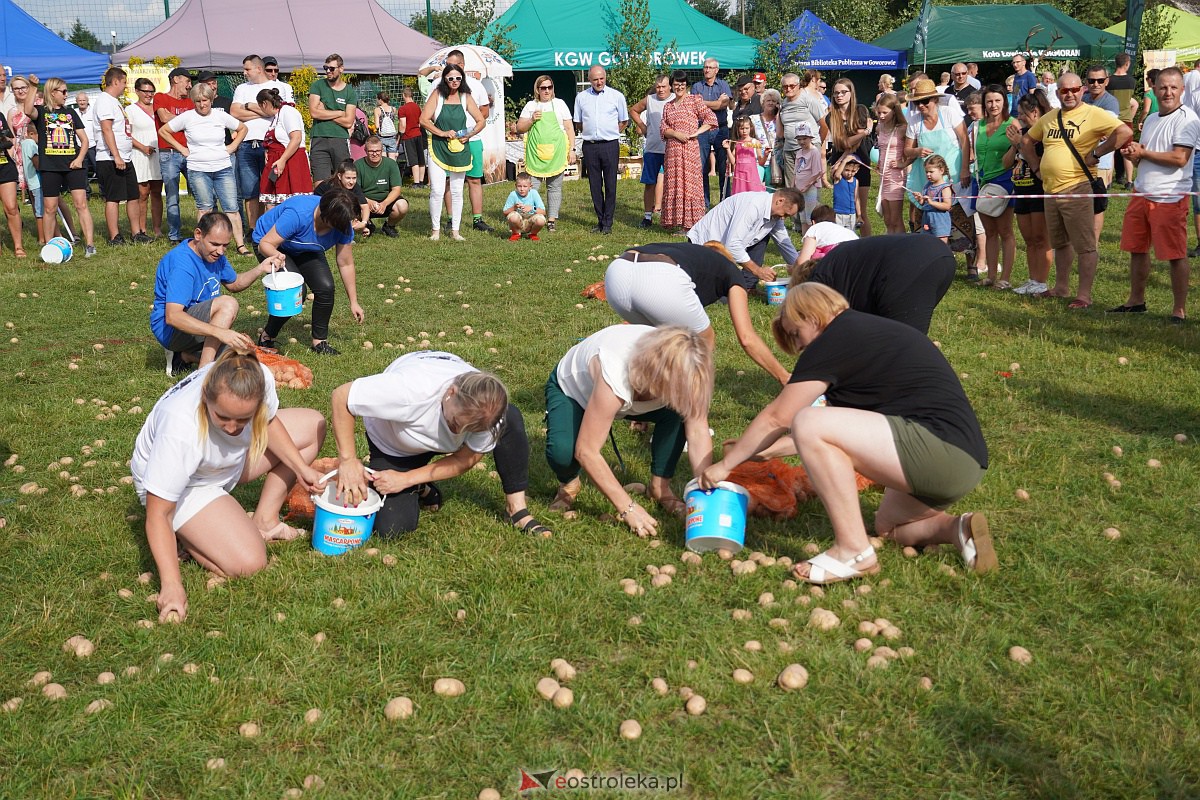 Dożynki w Goworowie [27.08.2023] - zdjęcie #31 - eOstroleka.pl
