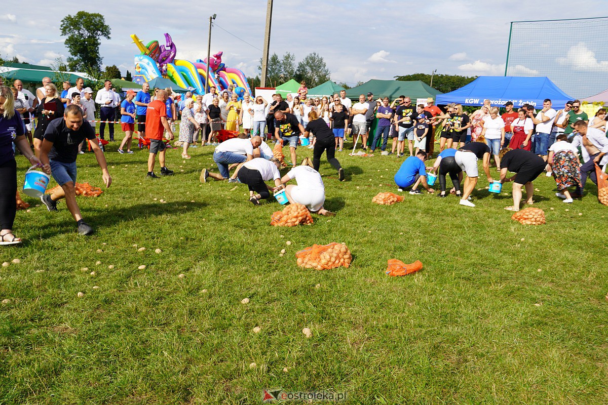 Dożynki w Goworowie [27.08.2023] - zdjęcie #21 - eOstroleka.pl