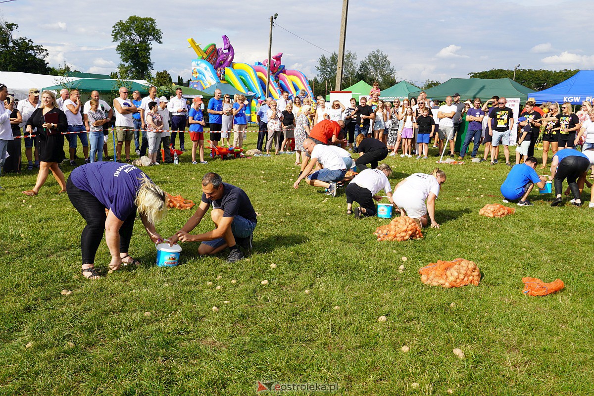 Dożynki w Goworowie [27.08.2023] - zdjęcie #20 - eOstroleka.pl