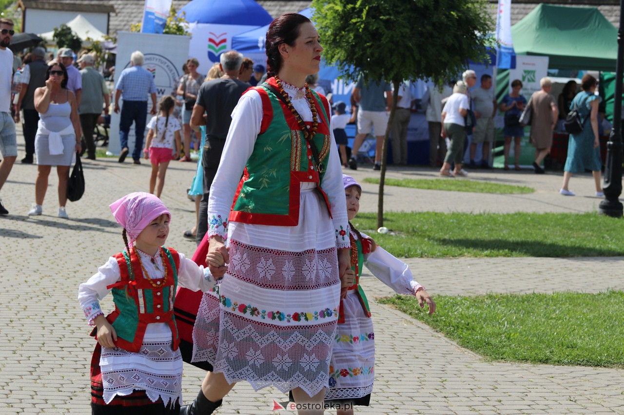 Miodobranie Kurpiowskie 2023 [27.08.2023] - zdjęcie #97 - eOstroleka.pl