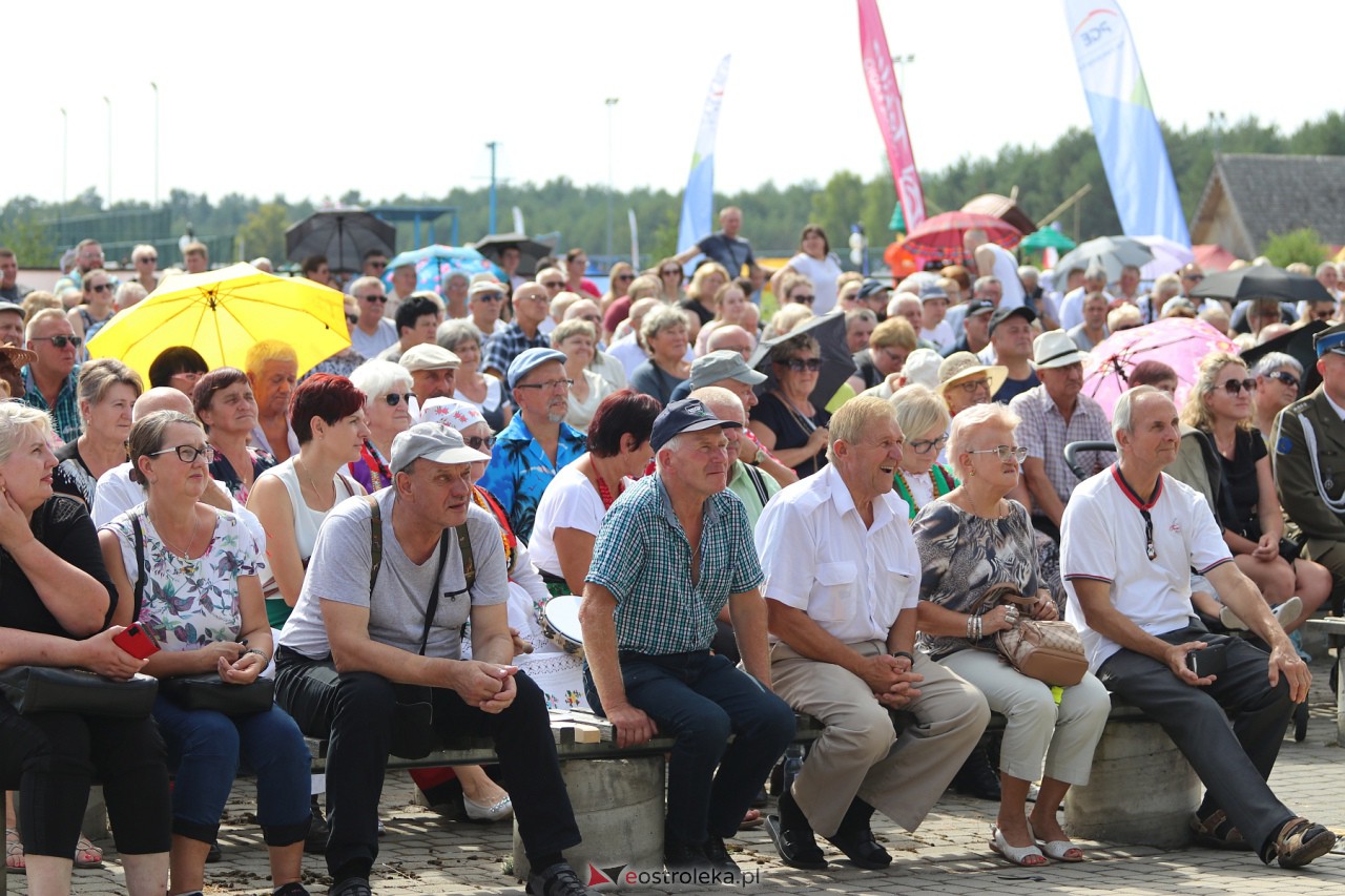Miodobranie Kurpiowskie 2023 [27.08.2023] - zdjęcie #50 - eOstroleka.pl