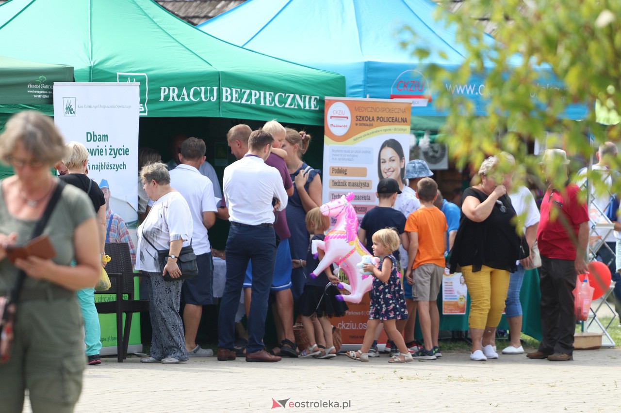 Miodobranie Kurpiowskie 2023 [27.08.2023] - zdjęcie #32 - eOstroleka.pl