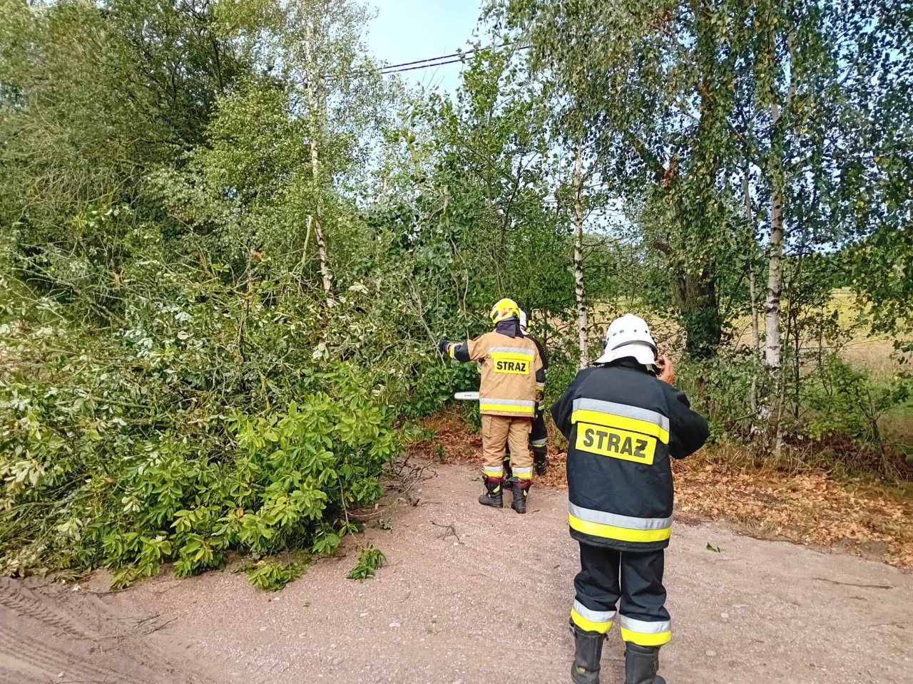 Wiatr powalił drzewa w powiecie ostrołęckim [29.08.2023] - zdjęcie #4 - eOstroleka.pl