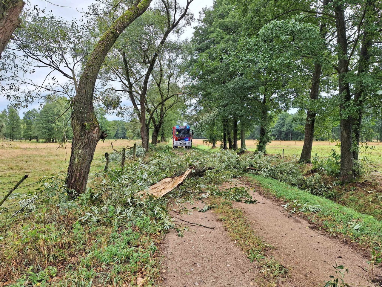 Wiatr powalił drzewa w powiecie ostrołęckim [29.08.2023] - zdjęcie #8 - eOstroleka.pl