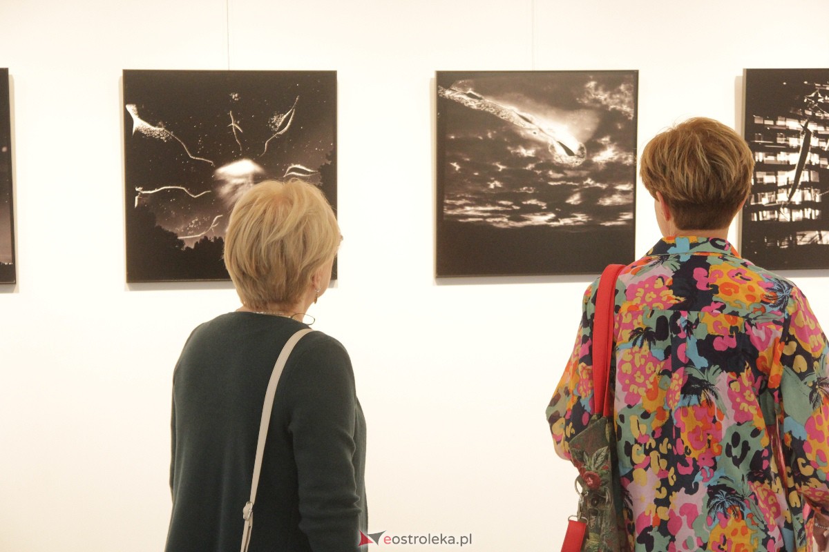 Wernisaż wystawy: Chwila, moment, życie w obrazie [01.09.2023] - zdjęcie #28 - eOstroleka.pl