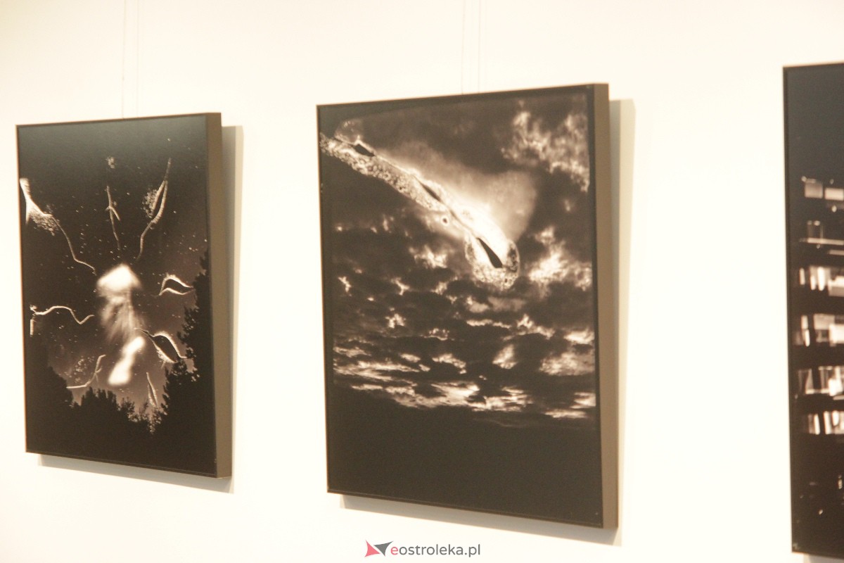 Wernisaż wystawy: Chwila, moment, życie w obrazie [01.09.2023] - zdjęcie #26 - eOstroleka.pl