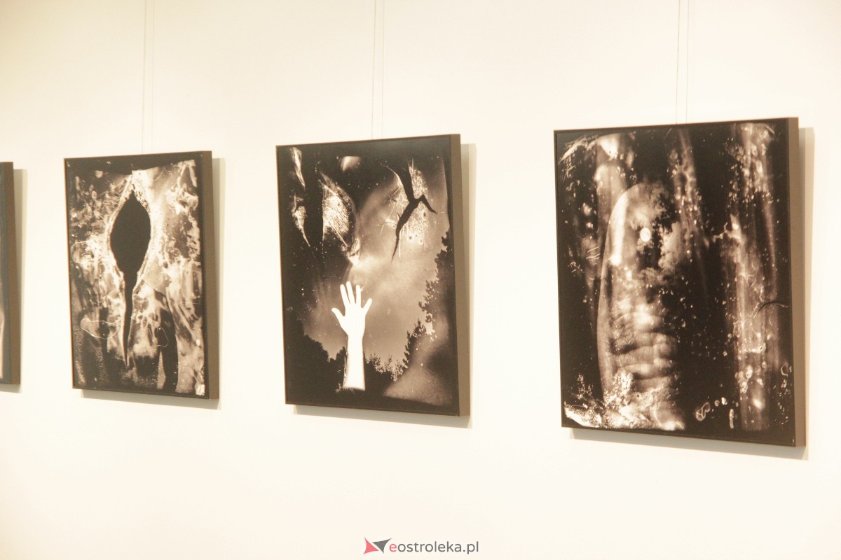 Wernisaż wystawy: Chwila, moment, życie w obrazie [01.09.2023] - zdjęcie #25 - eOstroleka.pl