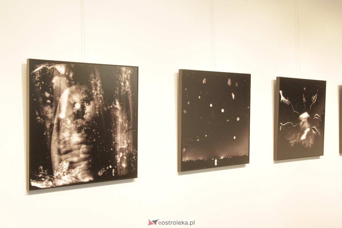 Wernisaż wystawy: Chwila, moment, życie w obrazie [01.09.2023] - zdjęcie #21 - eOstroleka.pl