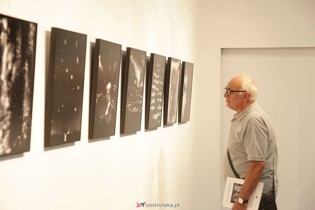 Wernisaż wystawy: Chwila, moment, życie w obrazie [01.09.2023] - zdjęcie #15 - eOstroleka.pl