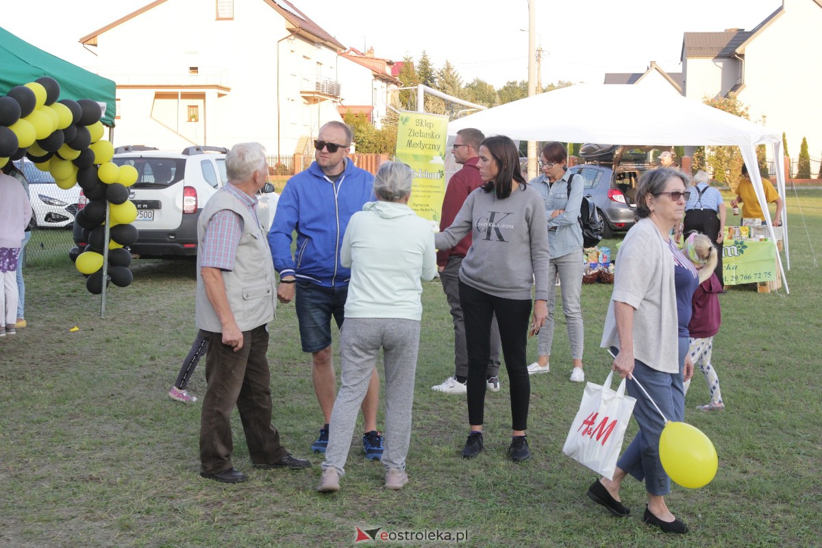 Pszczoły na Leśnym [01.09.2023] - zdjęcie #1 - eOstroleka.pl