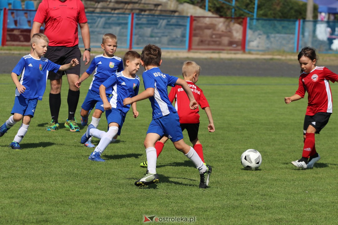 AMP CUP 2023 [02.09.2023] - zdjęcie #3 - eOstroleka.pl
