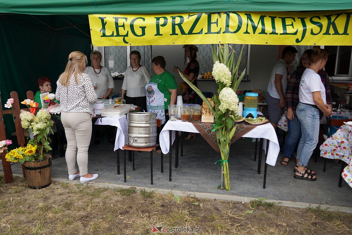 Piknik “Mlekiem i Miodem” w Łęgu Przedmiejskim [2.09.2023] - zdjęcie #41 - eOstroleka.pl