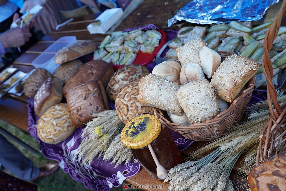 Święto Chleba nad Rozogą [3.09.2023] - zdjęcie #38 - eOstroleka.pl