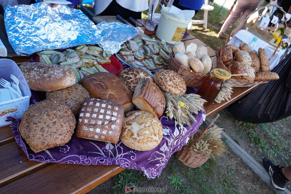 Święto Chleba nad Rozogą [3.09.2023] - zdjęcie #40 - eOstroleka.pl