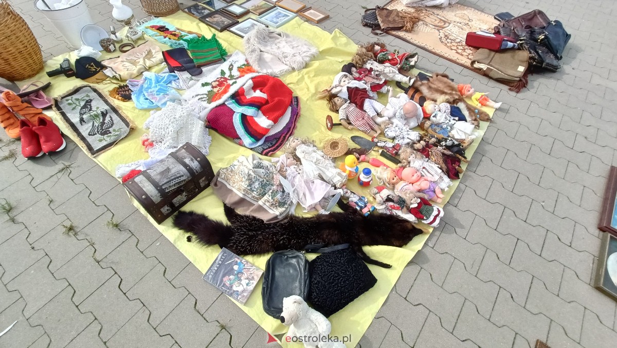 Targi staroci w Goworowie [09.09.2023] - zdjęcie #132 - eOstroleka.pl