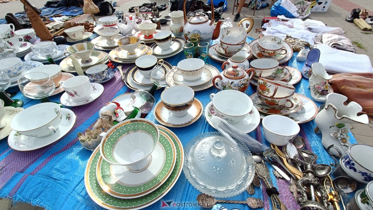 Targi staroci w Goworowie [09.09.2023] - zdjęcie #129 - eOstroleka.pl