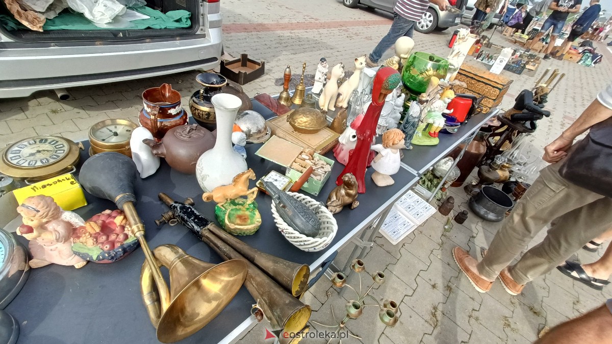 Targi staroci w Goworowie [09.09.2023] - zdjęcie #126 - eOstroleka.pl