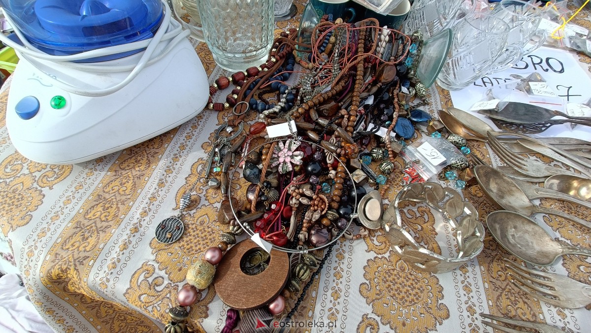 Targi staroci w Goworowie [09.09.2023] - zdjęcie #110 - eOstroleka.pl