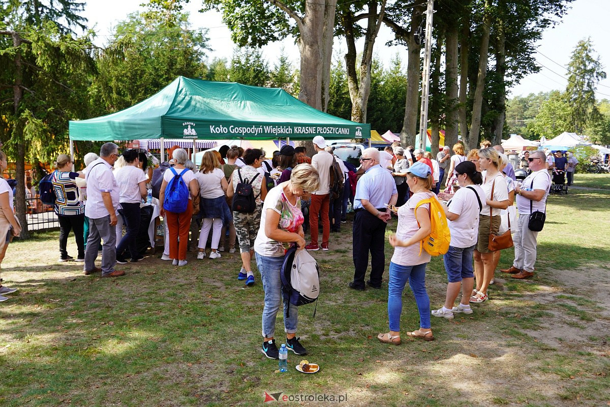 Pielgrzymka do Dąbrówki 2023 [10.09.2023] - zdjęcie #206 - eOstroleka.pl
