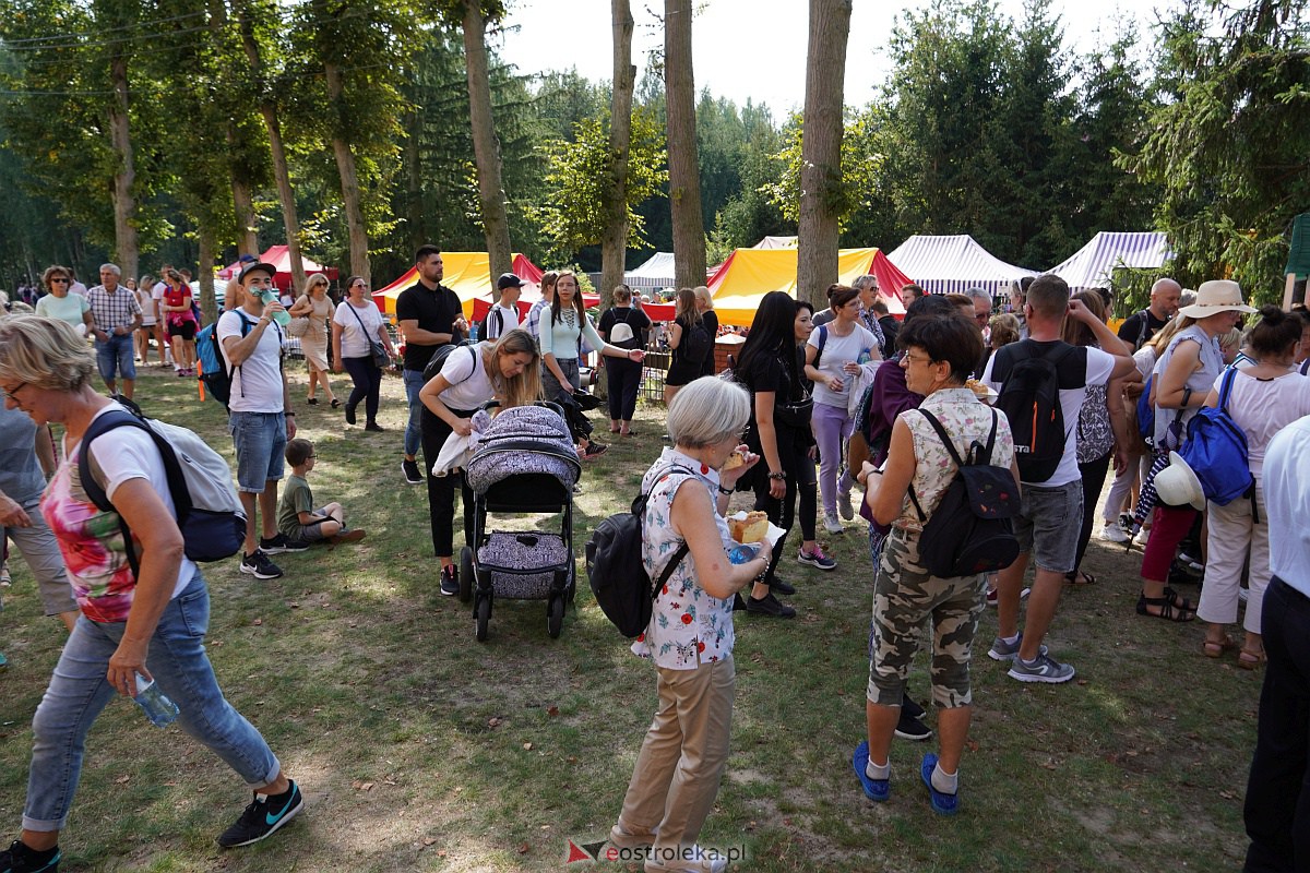Pielgrzymka do Dąbrówki 2023 [10.09.2023] - zdjęcie #201 - eOstroleka.pl