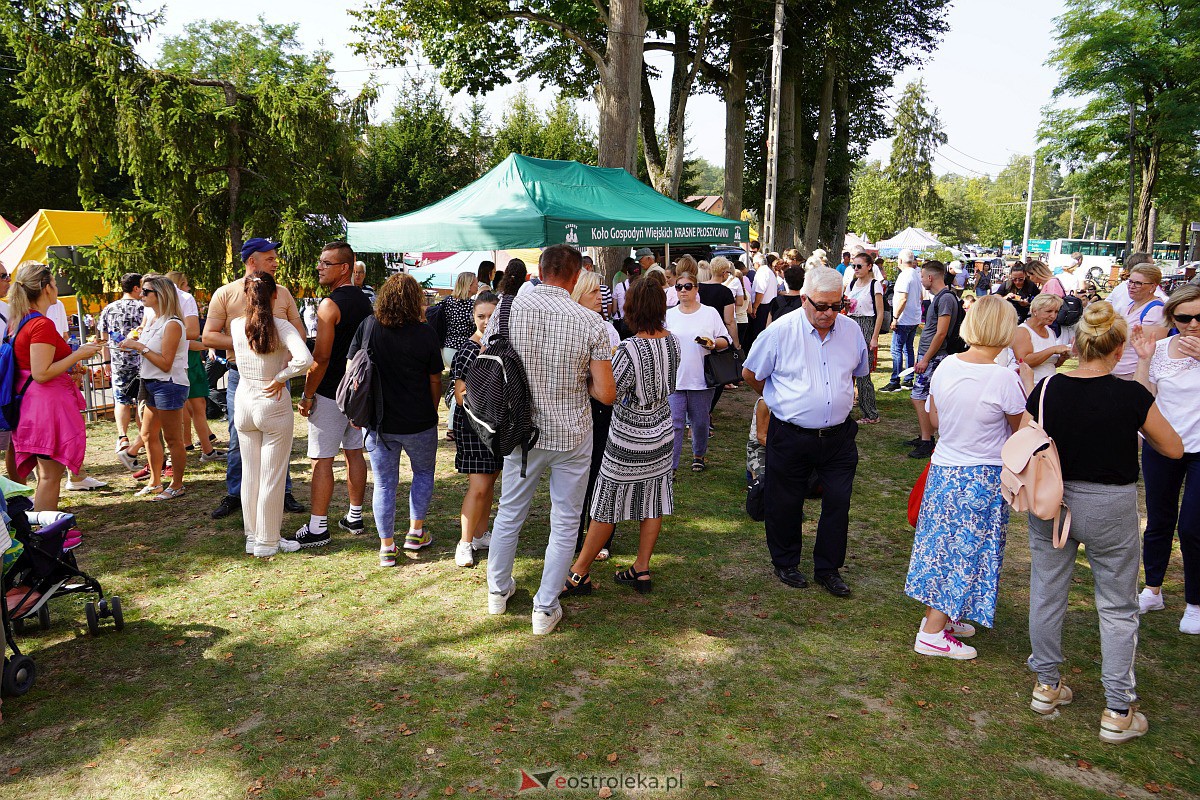 Pielgrzymka do Dąbrówki 2023 [10.09.2023] - zdjęcie #154 - eOstroleka.pl