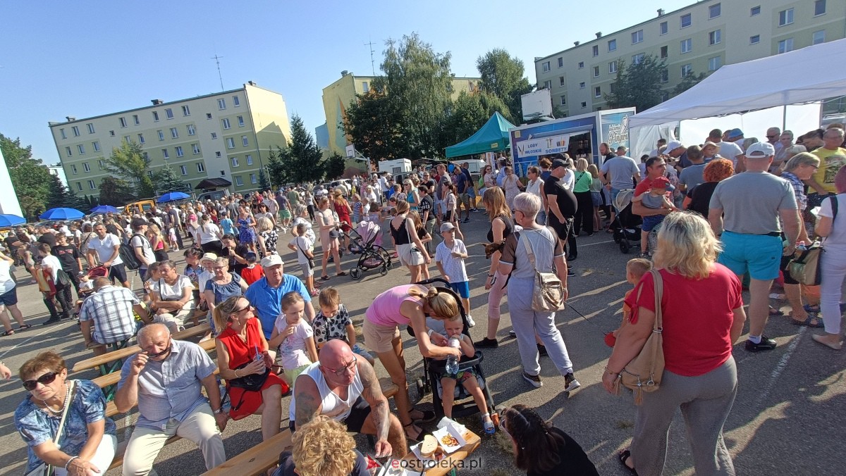 Festyn rodzinny na Osiedlu Centrum. Oko w oko z dinozaurem [10.09.2023] - zdjęcie #182 - eOstroleka.pl