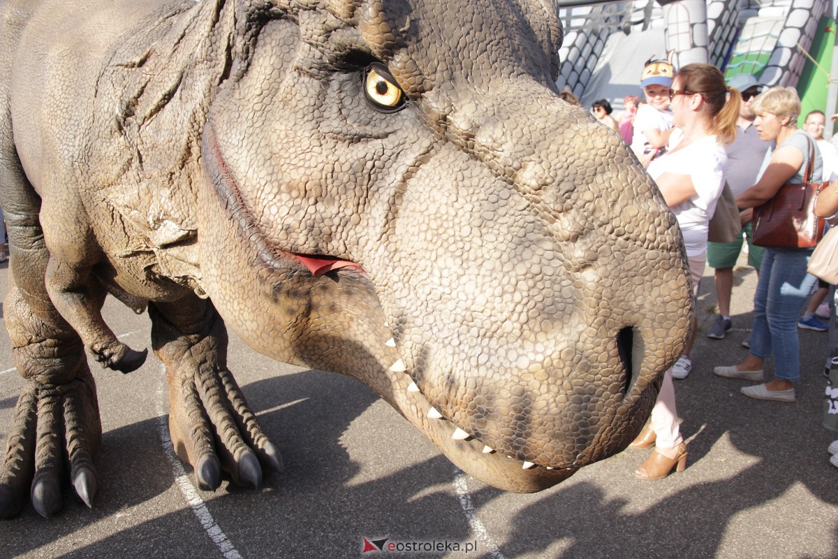 Festyn rodzinny na Osiedlu Centrum. Oko w oko z dinozaurem [10.09.2023] - zdjęcie #53 - eOstroleka.pl