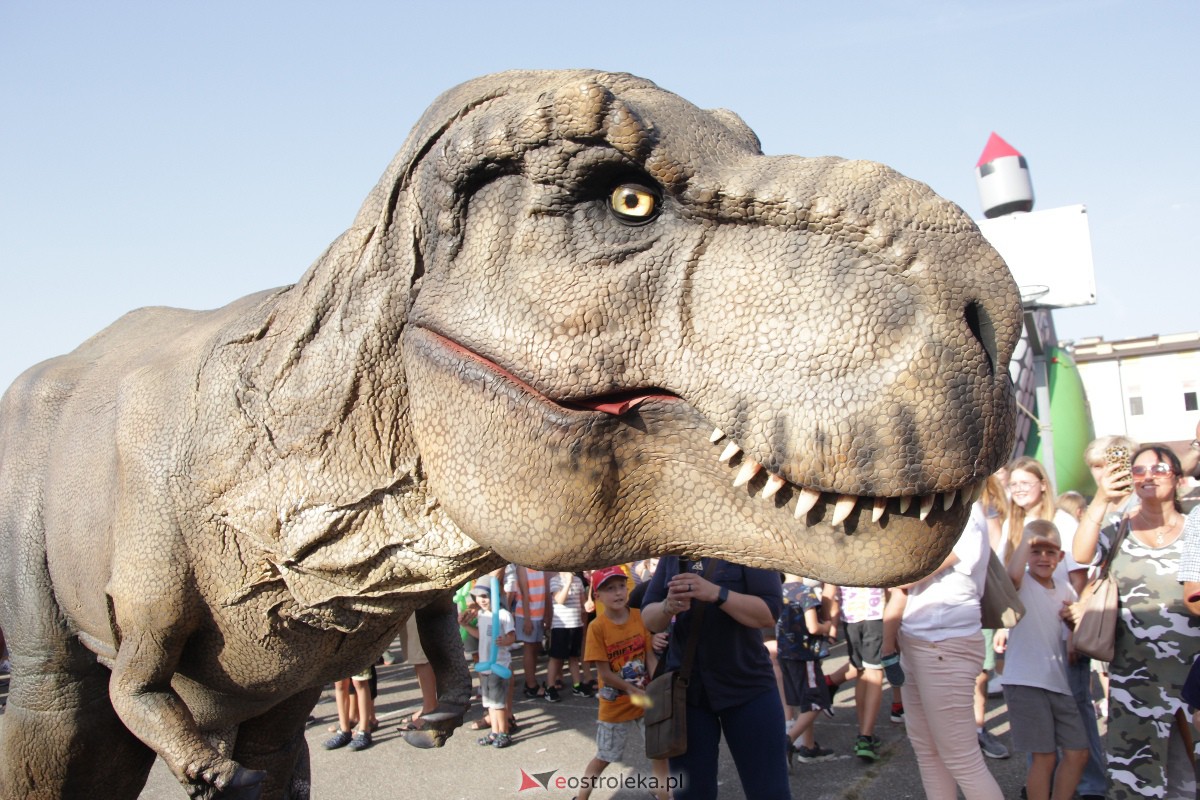 Festyn rodzinny na Osiedlu Centrum. Oko w oko z dinozaurem [10.09.2023] - zdjęcie #56 - eOstroleka.pl