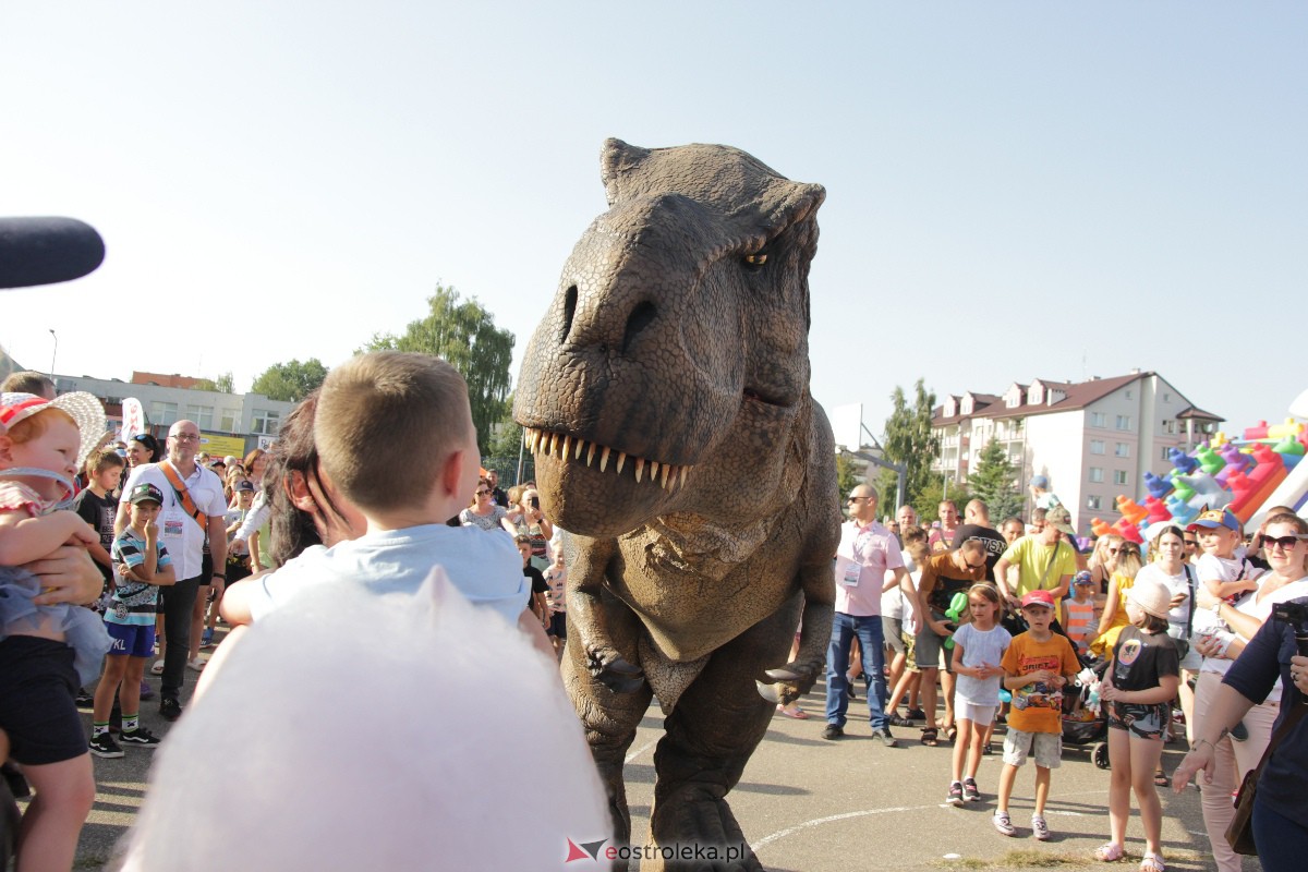 Festyn rodzinny na Osiedlu Centrum. Oko w oko z dinozaurem [10.09.2023] - zdjęcie #61 - eOstroleka.pl