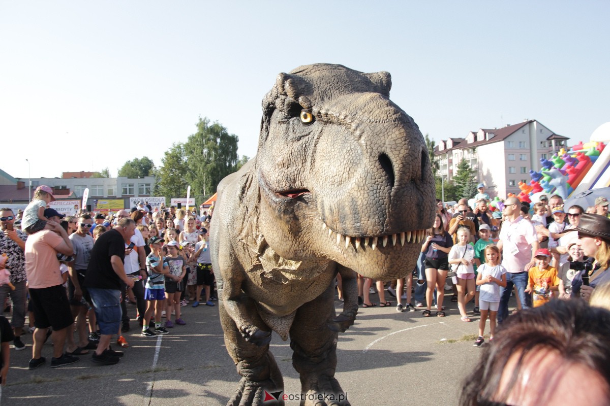 Festyn rodzinny na Osiedlu Centrum. Oko w oko z dinozaurem [10.09.2023] - zdjęcie #66 - eOstroleka.pl