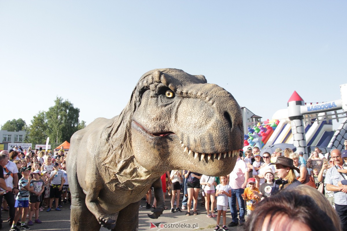 Festyn rodzinny na Osiedlu Centrum. Oko w oko z dinozaurem [10.09.2023] - zdjęcie #67 - eOstroleka.pl