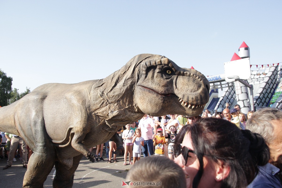 Festyn rodzinny na Osiedlu Centrum. Oko w oko z dinozaurem [10.09.2023] - zdjęcie #68 - eOstroleka.pl