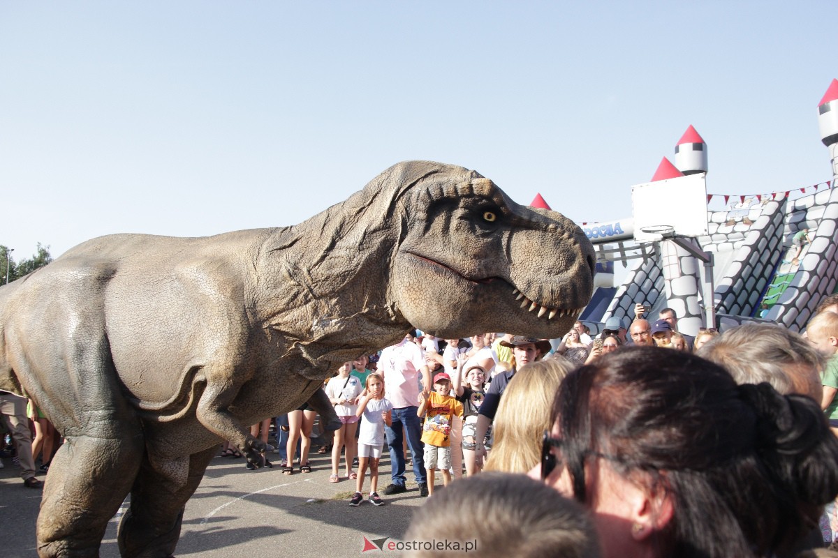 Festyn rodzinny na Osiedlu Centrum. Oko w oko z dinozaurem [10.09.2023] - zdjęcie #69 - eOstroleka.pl