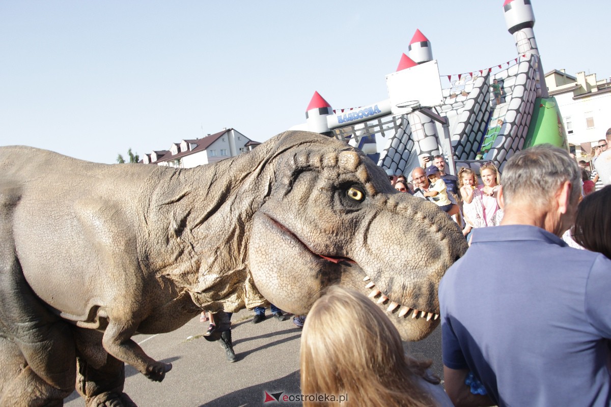 Festyn rodzinny na Osiedlu Centrum. Oko w oko z dinozaurem [10.09.2023] - zdjęcie #70 - eOstroleka.pl